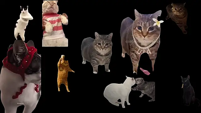 ch0wn m online show from October 3, 2025, 12:46 pm