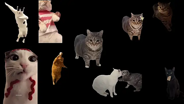 ch0wn m online show from November 14, 2025, 1:21 pm