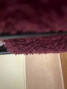 bb empress online show from September 26, 2025, 7:12 am