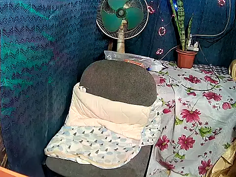 FlowerSexy online show from November 25, 2025, 11:32 am