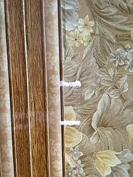 Snapshot of Julia-Elsa chatting on November 2, 2025, 3:53 am Julia-Elsa online show from November 2, 2025, 3:53 am