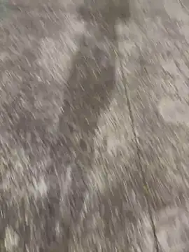 Snapshot of Foxfoxfox4 chatting on November 28, 2025, 1:03 pm Foxfoxfox4 online show from November 28, 2025, 1:03 pm