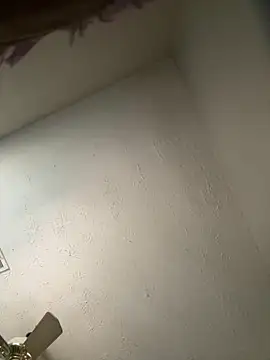 Snapshot of honestlychina chatting on October 3, 2025, 1:52 pm honestlychina online show from October 3, 2025, 1:52 pm