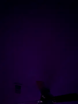 Snapshot of honestlychina chatting on October 10, 2025, 8:46 am honestlychina online show from October 10, 2025, 8:46 am