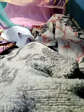 Snapshot of m11a2f3a4z5 chatting on February 14, 2026, 11:51 am m11a2f3a4z5 online show from February 14, 2026, 11:51 am