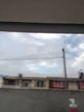 Sallem Pink online show from March 19, 2026, 11:14 am