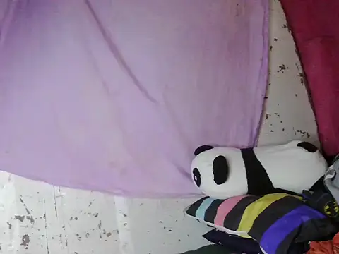 violen786 online show from October 29, 2025, 7:54 am