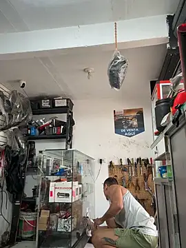 Terra-22cm online show from October 15, 2025, 1:44 pm