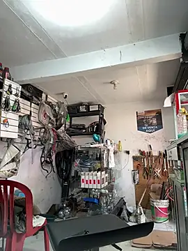 Terra-22cm online show from January 18, 2026, 1:59 pm