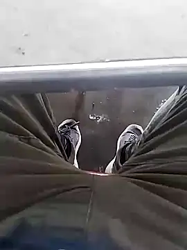 Aliyeni1 online show from December 1, 2025, 9:25 am