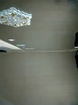 N i k o l a u online show from April 8, 2026, 3:56 pm