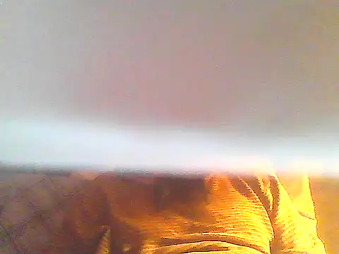 PenerPanShibari online show from December 16, 2025, 9:03 am