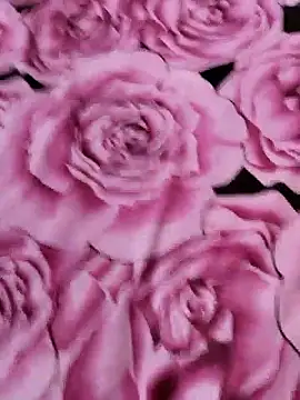 sana-5 online show from April 14, 2026, 5:08 pm