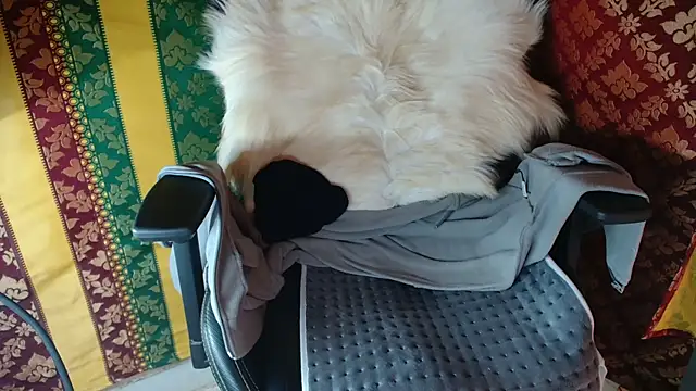 JUSTFORRICH online show from April 15, 2026, 12:34 pm