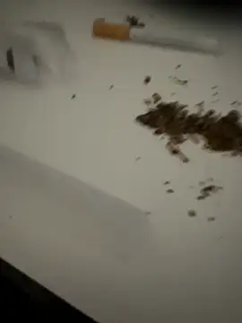 evawx9 online show from March 19, 2026, 6:12 pm