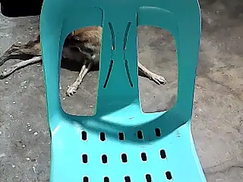 Snapshot of sexyannie25 chatting on November 24, 2025, 6:18 pm sexyannie25 online show from November 24, 2025, 6:18 pm