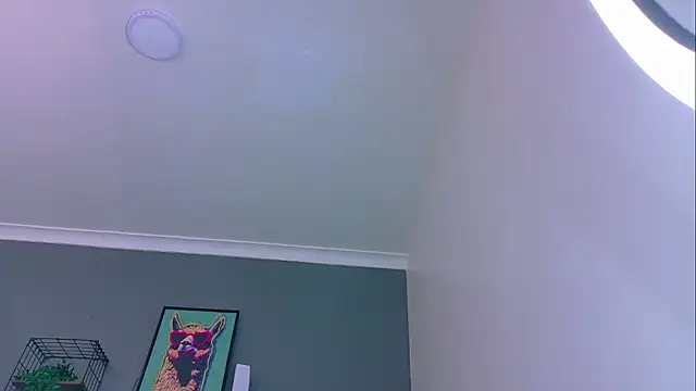 Snapshot of MrFox__ chatting on May 16, 2026, 8:29 pm MrFox online show from May 16, 2026, 8:29 pm