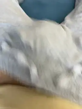 Frankieyyy1 online show from March 15, 2026, 7:58 am