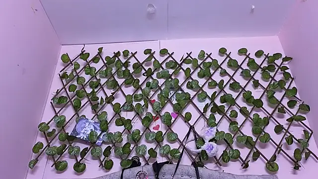 Snapshot of katalinathxandbritney1 chatting on September 24, 2025, 5:05 pm katalinathxandbritney1 online show from September 24, 2025, 5:05 pm