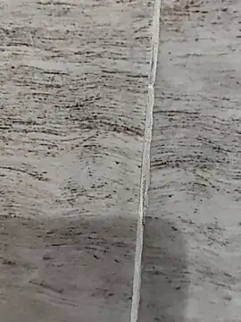 hot plak online show from November 19, 2025, 8:42 pm