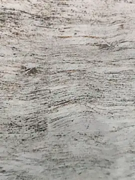 hot plak online show from November 30, 2025, 5:17 pm