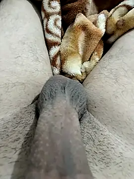 Zepe 12 online show from February 12, 2026, 11:55 pm