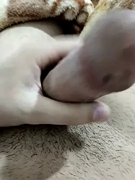 Zepe 12 online show from February 13, 2026, 11:34 pm