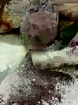 Zepe 12 online show from March 22, 2026, 8:12 pm