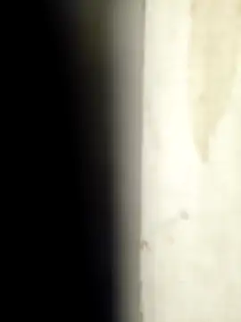 Snapshot of Sonalihot_ chatting on March 1, 2026, 1:46 pm Sonalihot online show from March 1, 2026, 1:46 pm