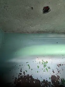 RandalHot online show from April 15, 2026, 6:04 pm