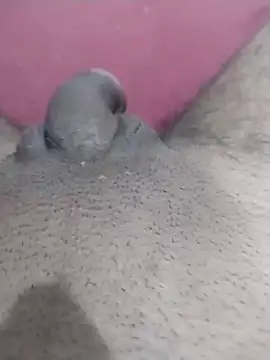 motoboytkbh online show from April 9, 2026, 8:03 pm