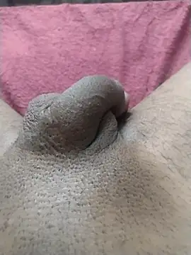 motoboytkbh online show from April 24, 2026, 3:58 pm