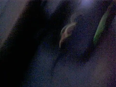 Dotadobelempa online show from January 16, 2026, 4:38 am