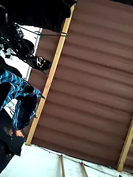 damian bull online show from November 24, 2025, 9:14 pm