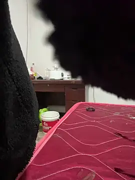 crhong666 online show from December 16, 2025, 12:26 am