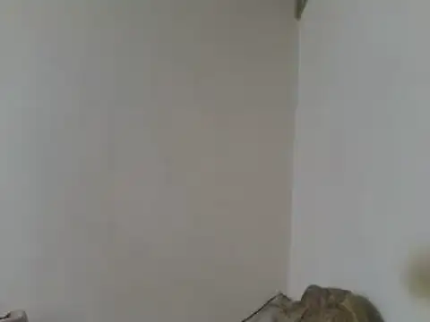 elpoop7305 online show from April 23, 2026, 7:49 pm