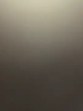 RebornWave11 online show from April 2, 2026, 6:22 am