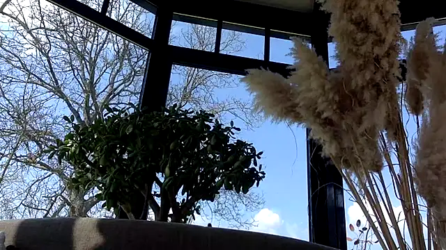 3615-ULLA online show from March 22, 2026, 11:57 am