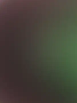 Snapshot of high3ndlowlife chatting on February 17, 2026, 7:31 pm high3ndlowlife online show from February 17, 2026, 7:31 pm