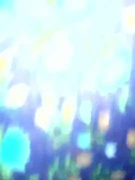 Juhi chawla online show from December 20, 2025, 5:03 am