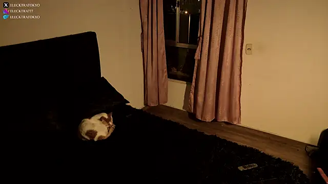 alexxatokyo online show from October 26, 2025, 8:42 am