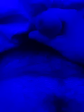 Derfick200 online show from December 2, 2025, 7:09 pm