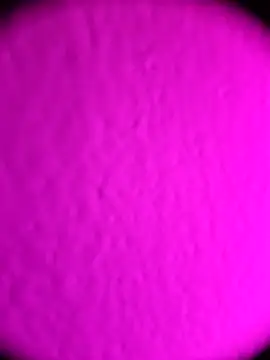 Snapshot of Michou02xXx chatting on February 18, 2026, 4:52 am Michou02xXx online show from February 18, 2026, 4:52 am