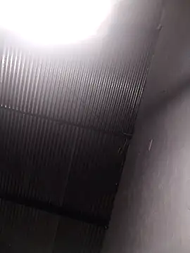 lucerocutte online show from October 12, 2025, 6:01 am