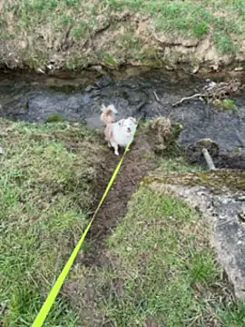 OliviaaFischer online show from March 12, 2026, 1:39 pm