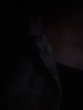 LilybethGray online show from November 19, 2025, 10:43 pm