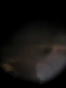 SilverBean5 online show from March 19, 2026, 3:38 pm