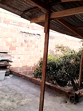 hoteder online show from November 28, 2025, 12:52 pm