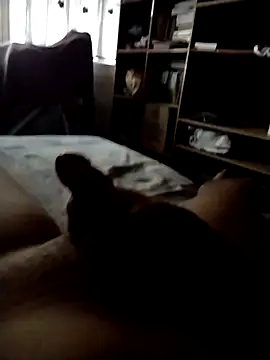 Snapshot of CadencedMimesis chatting on September 27, 2025, 8:30 am CadencedMimesis online show from September 27, 2025, 8:30 am