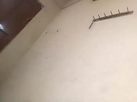 96Rohon online show from October 18, 2025, 2:58 am